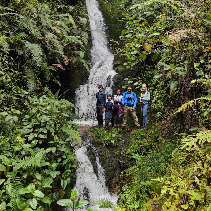 tour yanachaga chemillen